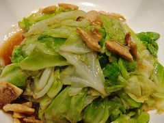 -老阿妈蒙古村·蒙古包·草原文化·歌舞表演(老君堂店)