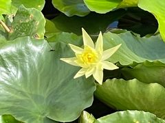 -贵阳市花溪国家城市湿地公园