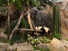 -香港海洋公园