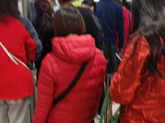 -上海枇杷烤鸭(城乡贸易中心店)