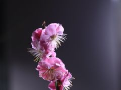 -北京明城墙遗址公园