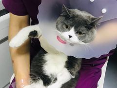 -达爱动物医院·犬猫分区·CT·复杂眼科(远洋山水分院)
