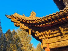 -张掖大佛寺景区