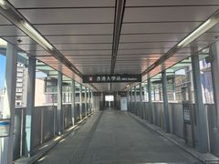 -香港大学