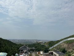 -大青山野生动物园