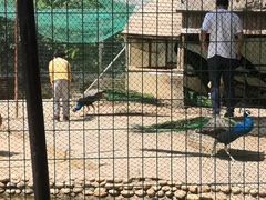 -武汉紫薇都市田园