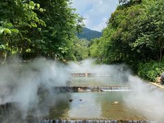 -广州白江湖森林公园