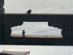 -杭州西湖柳莺里酒店·闻莺厅