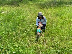 -塞罕坝国家级自然保护区