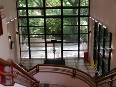 -香港大学