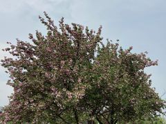 -汉长安城未央宫国家考古遗址公园