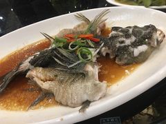 笋壳鱼-小龙酒家(桂平路店)