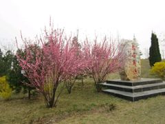 -长安大学(北校区)