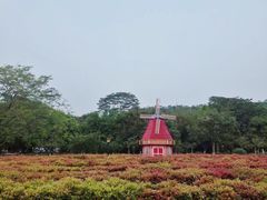 -东莞植物园