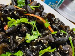 凉拌木耳-蚝得喜海鲜(东城店)