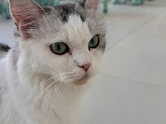 -怪兽屋·羊驼·猫咖·狗咖(俊华广场店)