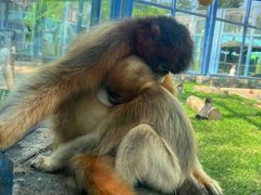 -大连森林动物园