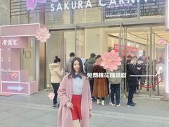 -金茂览秀城