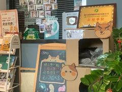 -御宝贝·A梦猫科宠物医院(国际猫友好医院)