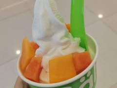 -Salud撒露欧洲冻酸奶(蓝色港湾店)