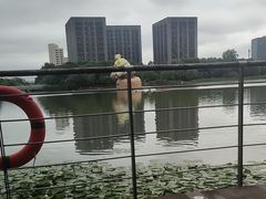 -南翔镇银翔湖公园