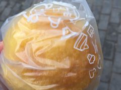 -卡吉诺动物奶油生日蛋糕(中原路店)