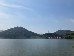 -稻香酒家(长宁KING88广场店)