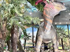 -湖南省地质博物馆