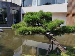 -雅苑中餐厅