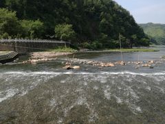 -楠溪江风景名胜区