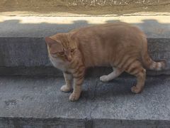 -四门塔风景区