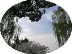-堤角公园