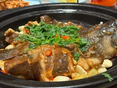 姜葱焖西江吻鱼-莞府家宴·东莞菜(市民服务中心店)