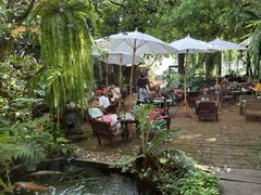 -Fern Forest Cafe