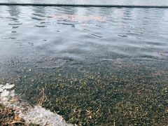-尚贤河湿地