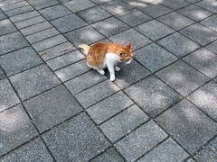 -晓港公园