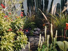 -自由生长植物工作室(深港花卉中心店)