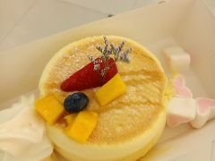 -狐狸和向日葵(北京路店)