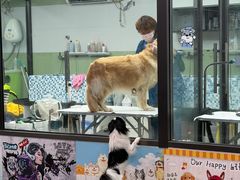 -全心全意动物诊疗中心医院(北苑店)