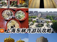 -上海东林寺(金山区)