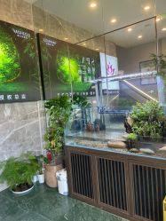 点击看大图 -阅年轻·AI家庭健康体质调理