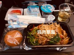 -新加坡航空公司(ION)