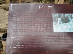 -福清灵石山国家森林公园