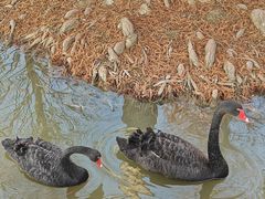 -浙江农林大学(东湖校区)