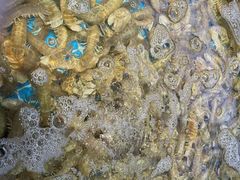 -大锅强·蒸海鲜青岛菜(金沙滩店)