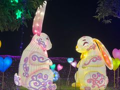 -广西壮族自治区药用植物园