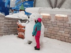 -长沙湘江冰雪世界