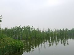 -白鹭湾湿地公园