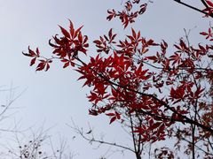 -大宁公园