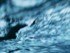 -重庆海昌加勒比海水世界